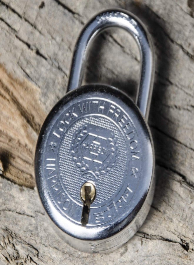 Harrison T-26/BCP-0274_PK 2 6 Levers Padlock with 3 Keys (Silver, Painted Finish) - Image 5